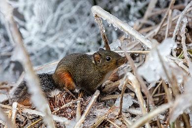 《乐高漫威超级英雄》将于10月5日登陆NS 包含所有DLC